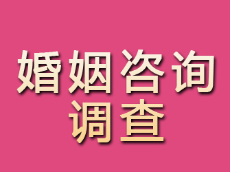 满洲里婚姻咨询调查